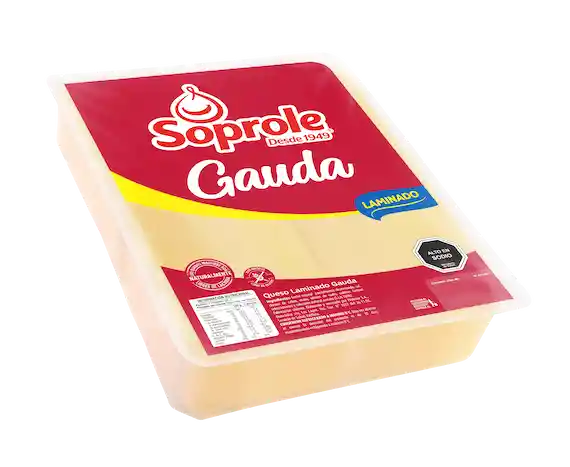 Queso Gauda Soprole 500g