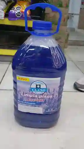 Limpia Piso