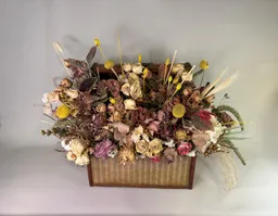Arreglo Seco En Baúl