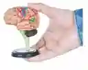 Cerebro Mini Modelo Anatómico 4d Desarmable 32 Partes