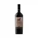 Toro De Piedra Cabernet Sauvignon