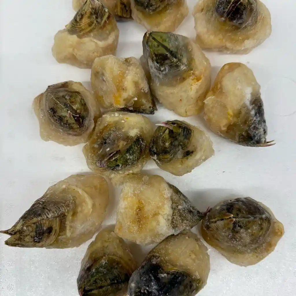 Picoroco Bolsa 1,5 Kg