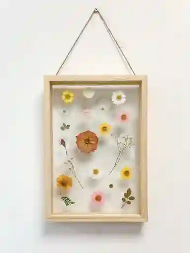 Cuadro Flores Prensadas Dulce (l)