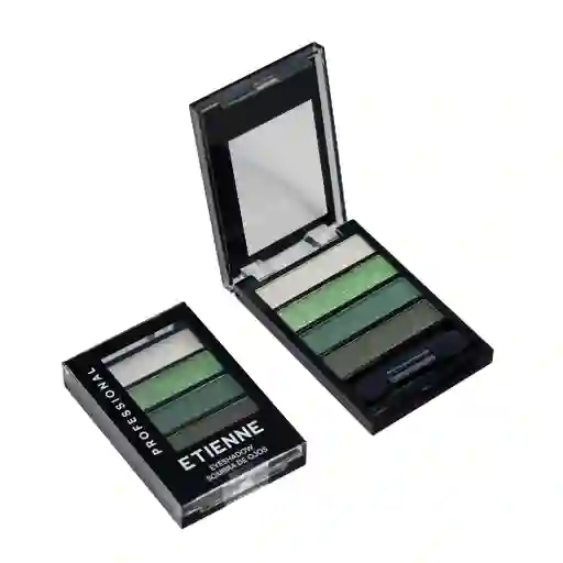 Sombra Etienne 4 colores Professional 05 Green