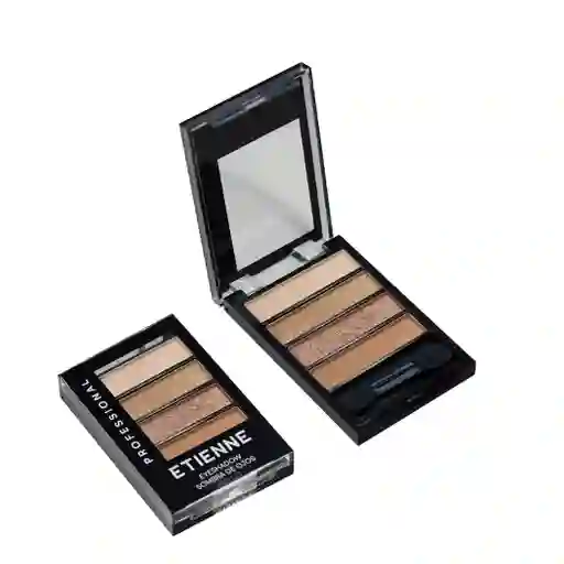 Sombra Etienne 4 colores Professional 06 Nude