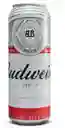 Cerveza Budweiser Latón