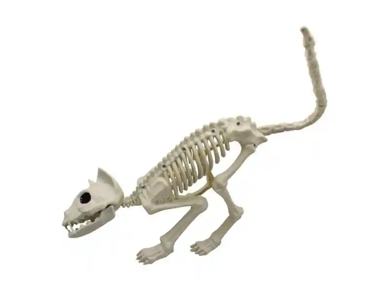 Esqueleto Gato 48*18cm