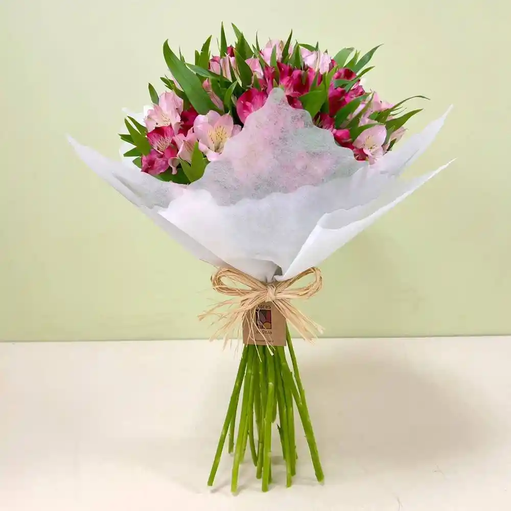 20 Alstroemerias | Mamá