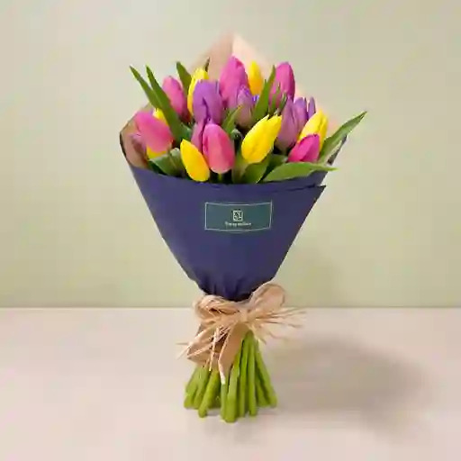 30 Tulipanes Coloridos | Mamá