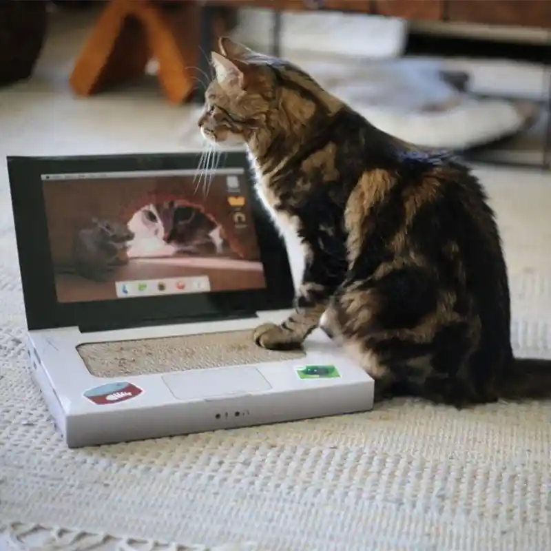 Rascador Para Gato Brnx Catbook/computador