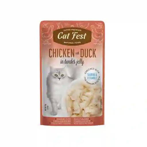 Cat Fest Pouch Chicken With Duck 70g
