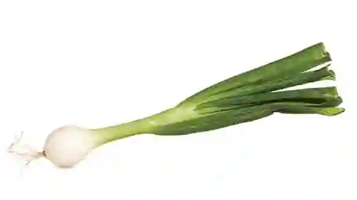 Cebollines
