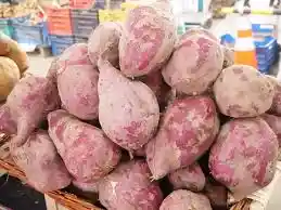 Camote Peruano Del Cusco