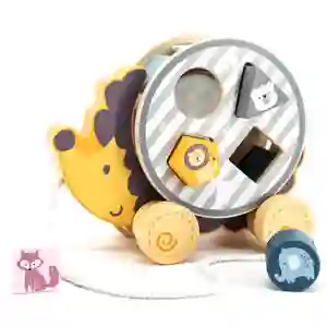 Arrastre Erizo Encaje