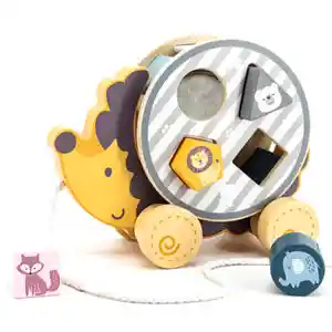 Arrastre Erizo Encaje