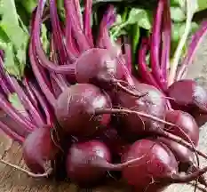 Betarragas Paquete De 5 Unidades