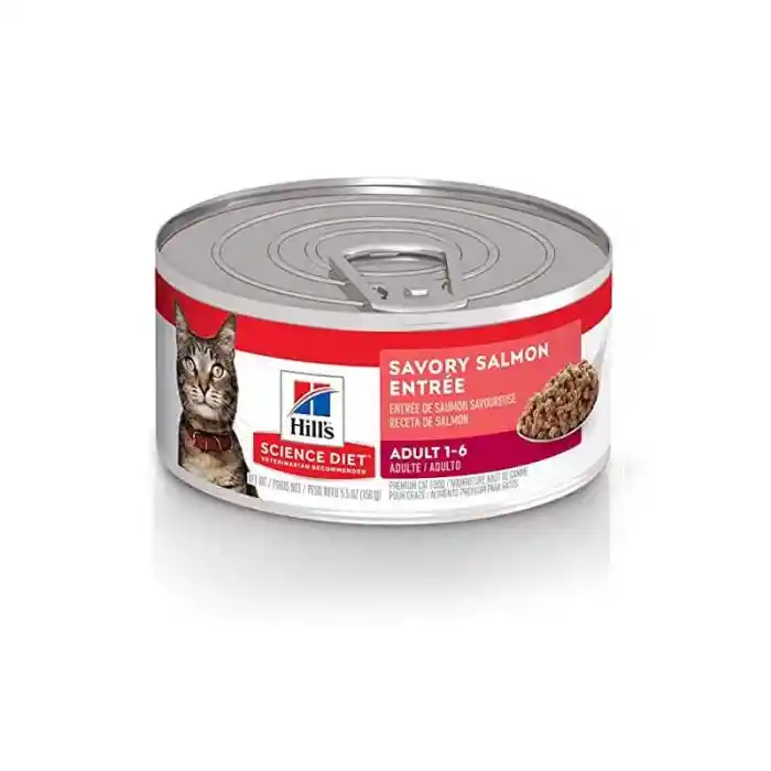 Alimento Humedo Hills Feline Adult Salmon 156gr