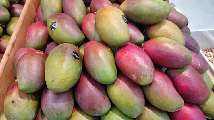 Mango