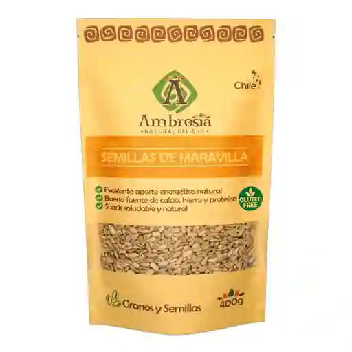 Semilla De Maravilla