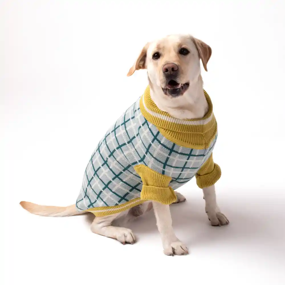 Chaleco Tejido Para Mascota Xl