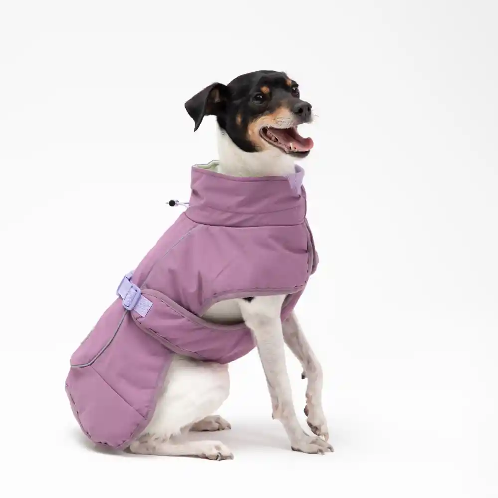 Chaqueta De Perro Impermeable S