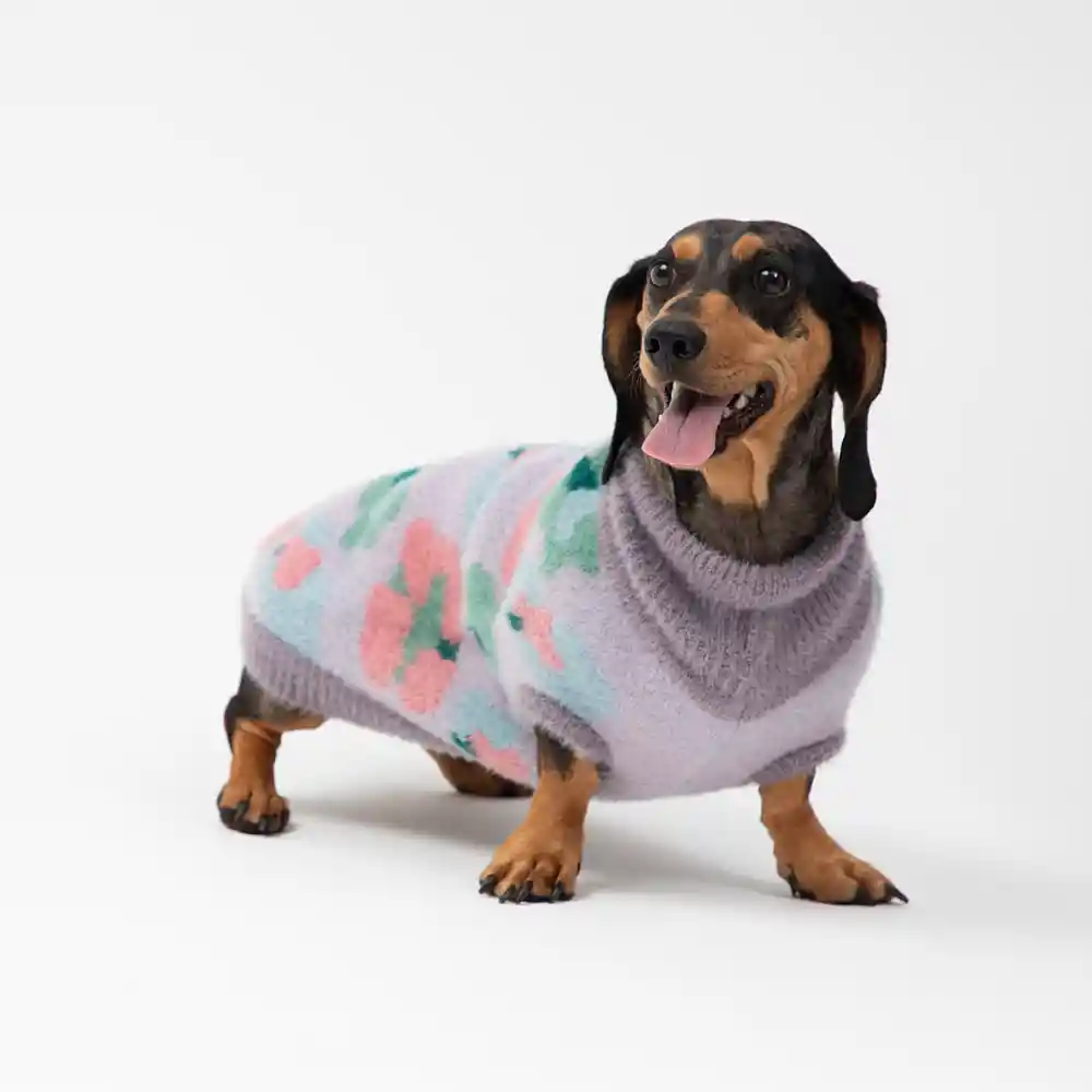 Chaleco Tejido Para Mascota M