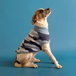 Chaleco Tejido Para Mascota L