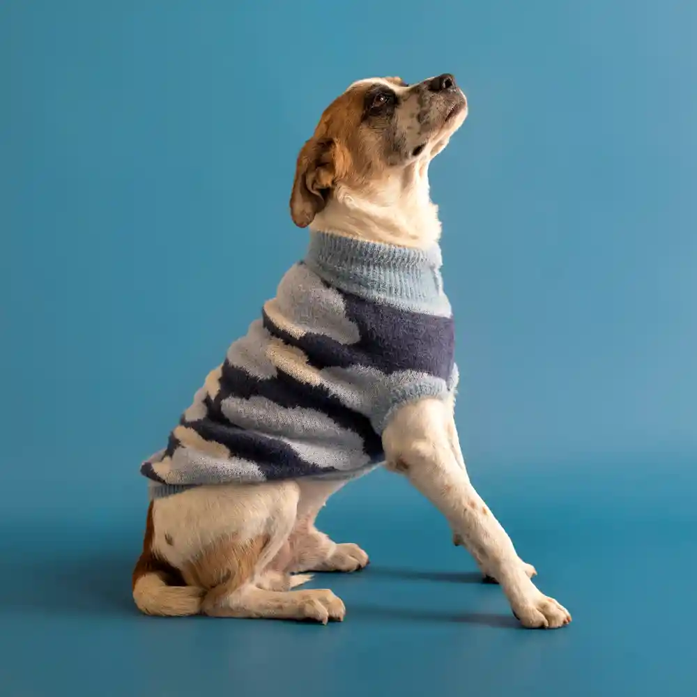 Chaleco Tejido Para Mascota L