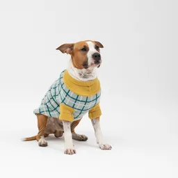 Chaleco Tejido Para Mascota L