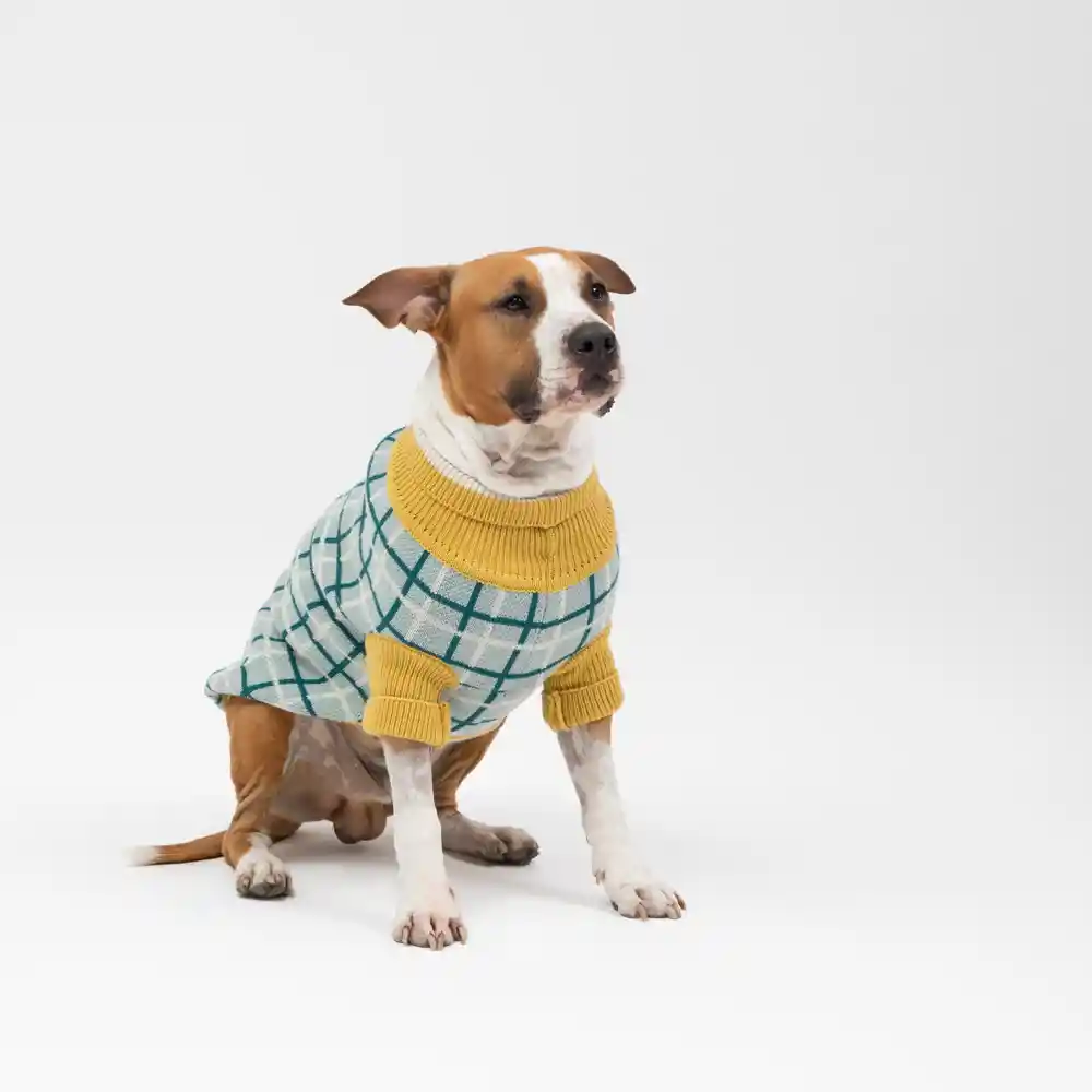 Chaleco Tejido Para Mascota L