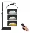 Lampara Led Con Pedestal Regulable Lashista Manicure Led Media Luna Estetica