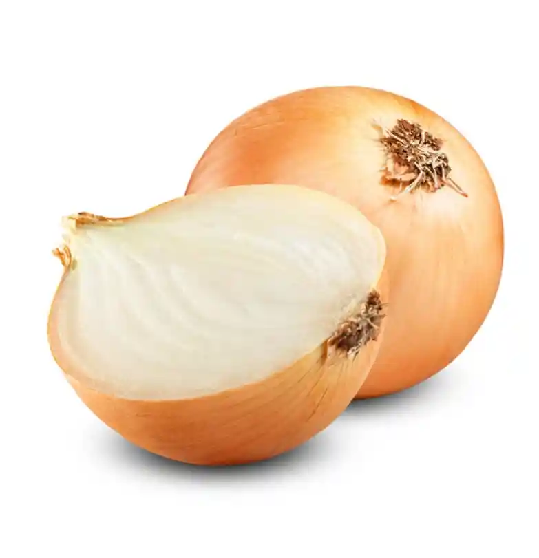 Cebolla 1 Unidad