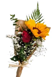 Ramo Floral Con 1 Rosa Y 1 Girasol