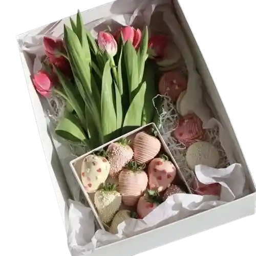 Box Tulipan