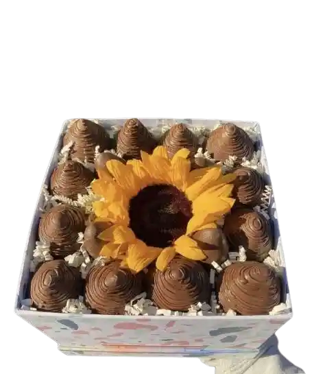 Box Girasol Frutillas