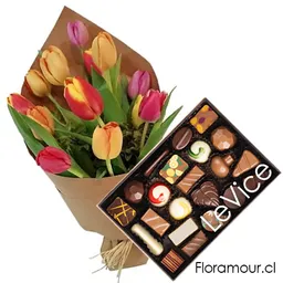 Ramo De Tulipanes Ecológicos – Bombones Le Vice