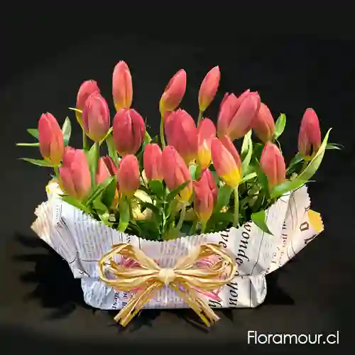 Saco Rústico Extra De 20 Tulipanes