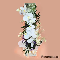 Mikado – Caja Abierta Con Orquídeas