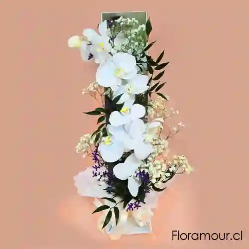 Mikado – Caja Abierta Con Orquídeas