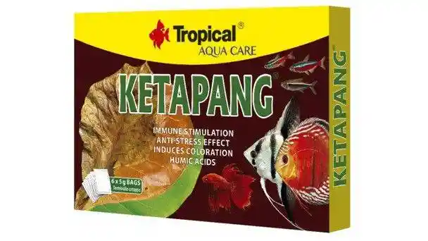 Ketapan 6 X 5g Bags