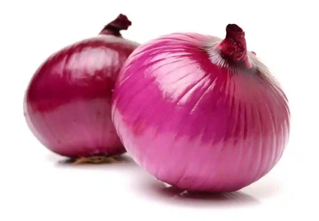 Cebolla Morada