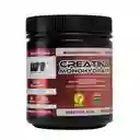 Creatina Monohidratada Winkler X3