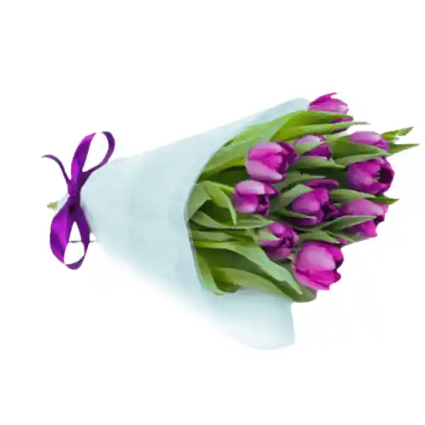 Ramo De 10 Tulipanes, Envoltura