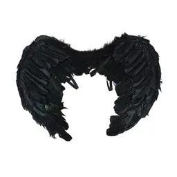 Alas Angel Pluma Negra 60*50