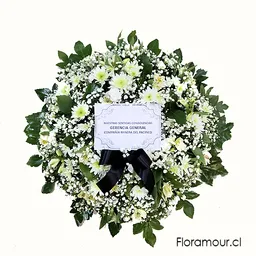 Corona Placa Medium Con Tarjeta