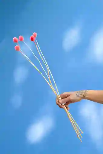 Craspedia Rosada Seca