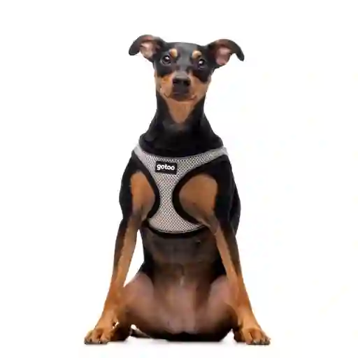 Arnés Gris Ajustable De Malla Transpirable Con Costuras Reflectantes Para Perros Talla M