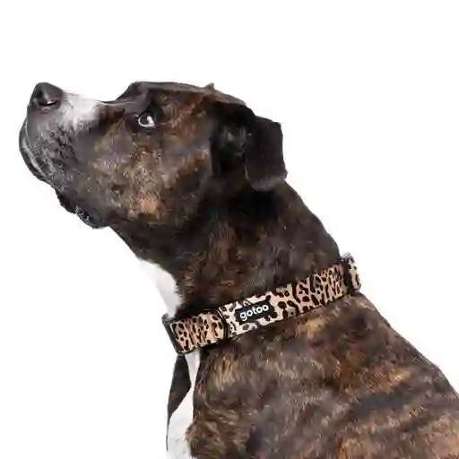 Collar Con Estampado De Leopardo Para Perros Talla S