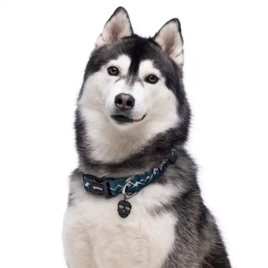 Collar Con Estampado De Montañas Para Perros Talla Xl