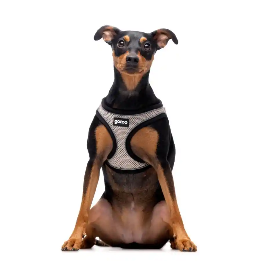 Arnés Gris Ajustable De Malla Transpirable Con Costuras Reflectantes Para Perros Talla Xl